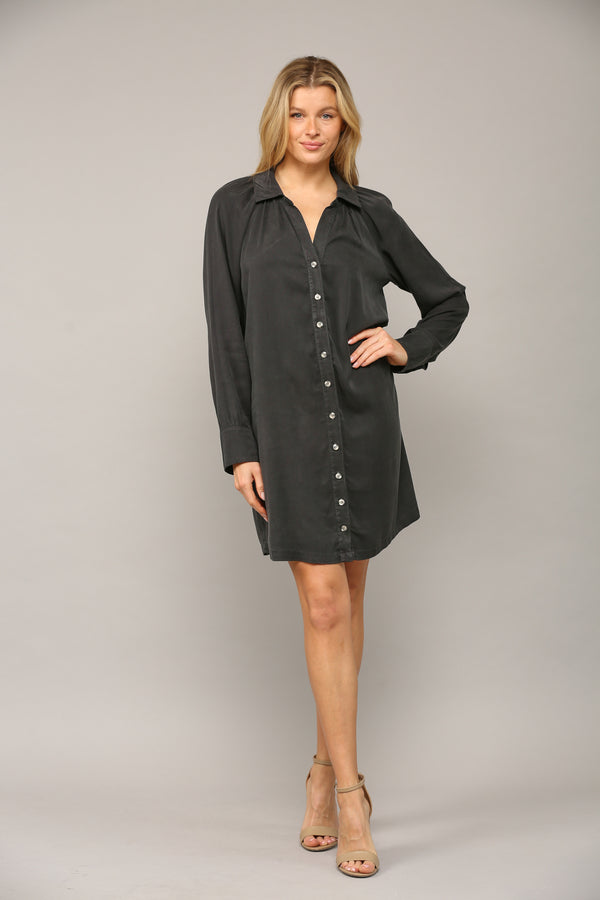Boyfriend Button Down Shirt Dress