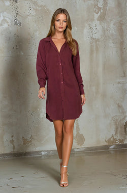 Boyfriend Button Down Shirt Dress